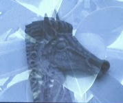 ZOOM - mmg-4.jpg