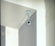 ZOOM - c.jpg
