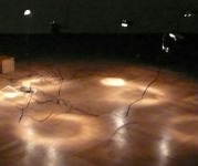 ZOOM - tavirozsak.jpg