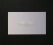 ZOOM - 02.jpg