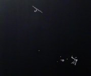 ZOOM - erdelyi.jpg