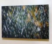 ZOOM - enterior03.jpg