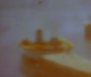 ZOOM - pszp.jpg
