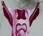 ZOOM - orchidea.jpg