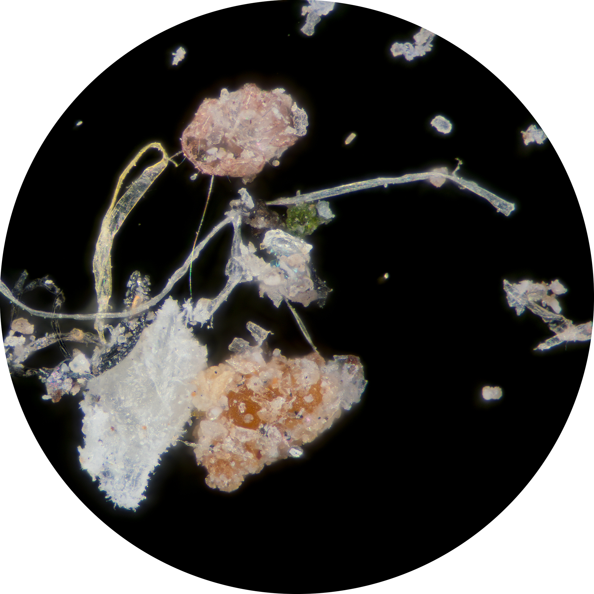 Hogyan tud jelen lenni spirituálisan is az igazság?