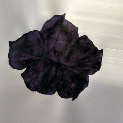 Mélység / Depth, 2026. akvarell, papír, 100x70 cm