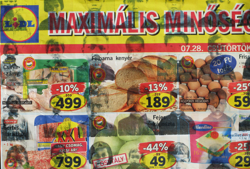 redley_tamas_kortars_magyar_foto2011